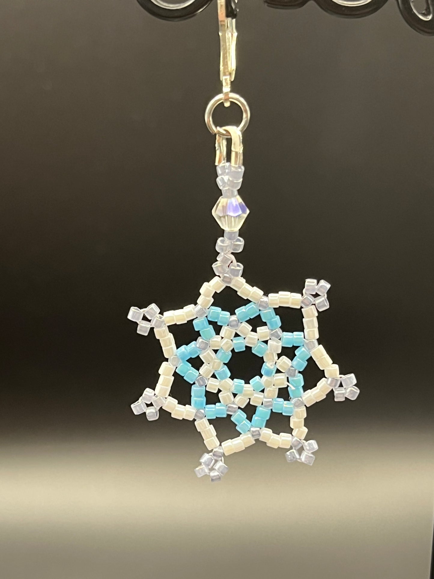 Snowflake on the Window Earring